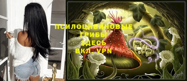 амфетамин Белокуриха