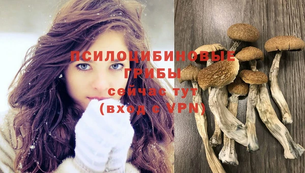 мдма Россошь