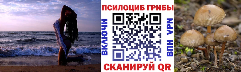 Галлюциногенные грибы мухоморы  Светлогорск 